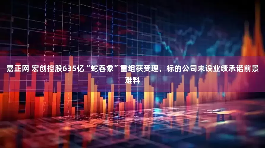 嘉正网 宏创控股635亿“蛇吞象”重组获受理，标的公司未设业绩承诺前景难料